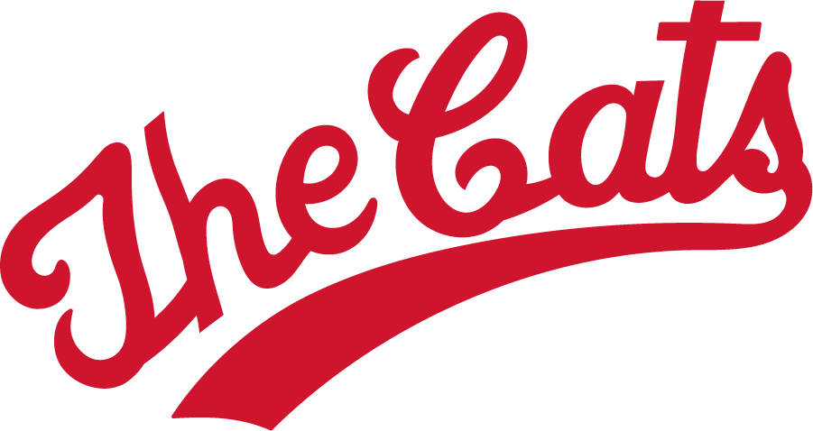 Cincinnati Bearcats 1973-1976 Wordmark Logo diy iron on heat transfer